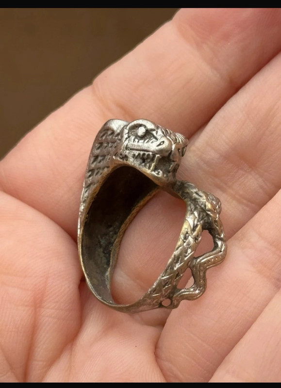 Reptilian snake Nickel silver ring, size M