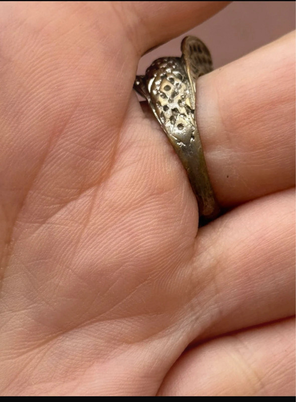 Reptilian snake Nickel silver ring, size M
