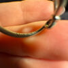 Genuine Pandora Infinity Knot Ring Size 48 Uk size I1/2 S925 ALE