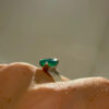 Sterling silver rings (size Q) with green quartz #35