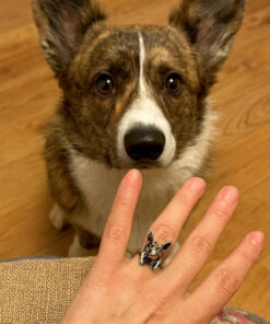 Uk size M corgi ring doggy