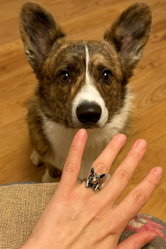 Uk size M corgi ring doggy
