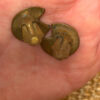 Soviet enamel Finift copper clip-on earrings #47