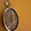 925 Silver Plated Fossil Coral Pendant #3