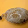 925 Silver Plated Fossil Coral Pendant #3