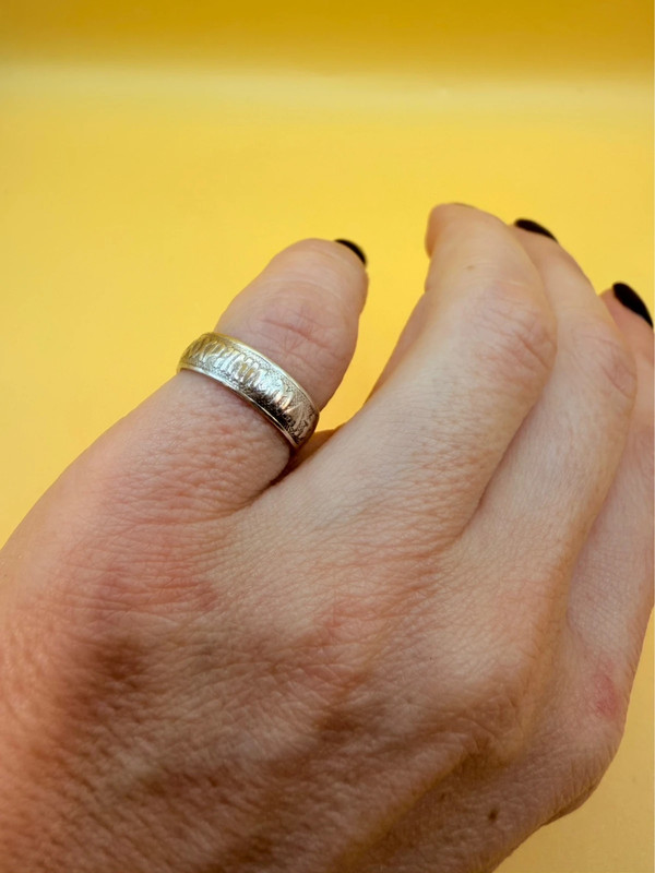 Silver ring ‘Save and Protect’, size I”