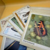 Collection of 27 Royal Mail PHQ Postcards – First Day of Issue (FDI) 1970s-80s