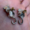 Sterling Silver Cat Clinging earrings Front back Cat Pet Lover Unique #143