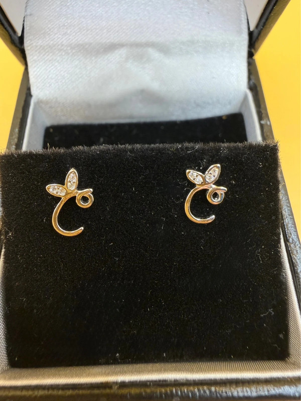 Sterling silver earrings #118
