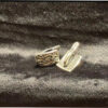 Etalon Jenavi Designer Earrings silver plated
