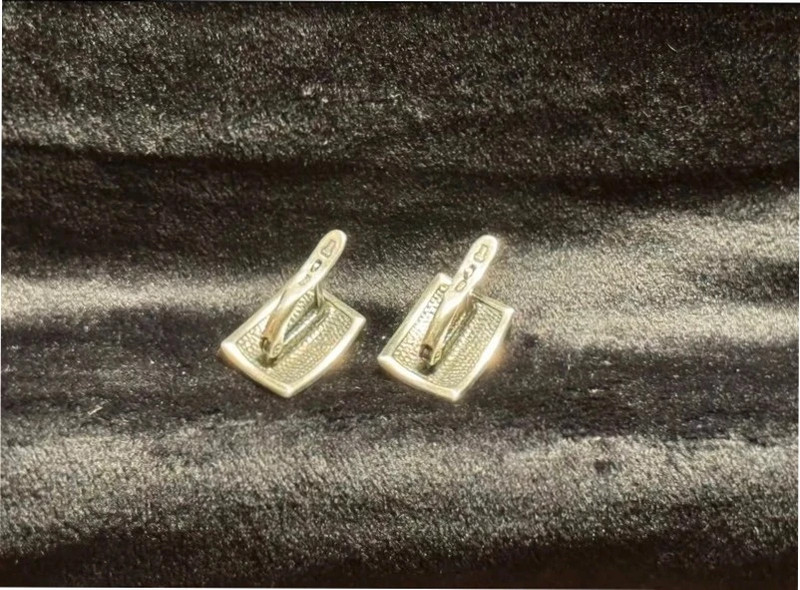 Etalon Jenavi Designer Earrings silver plated