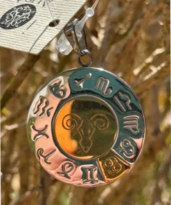 Zodiac pendant -Aries, made of surgical steel