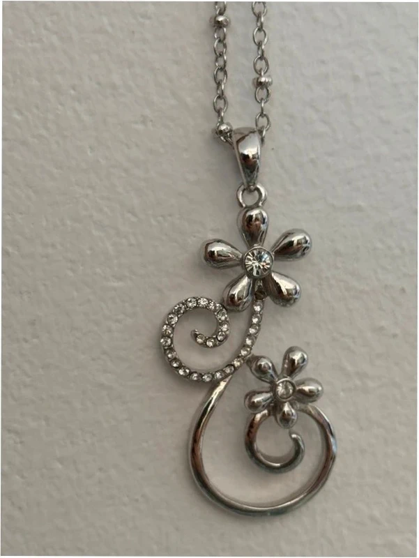 Silver-colored pendant with chain