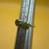 Vintage Sterling Silver Two Peridots( Worn On Top)  Ring -UK Size N~38