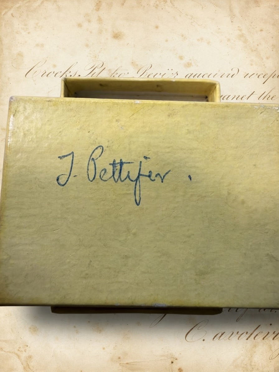 Vintage 1954 RLSS Royal Life Saving Society Bronze Medal J Pettifer Boxed