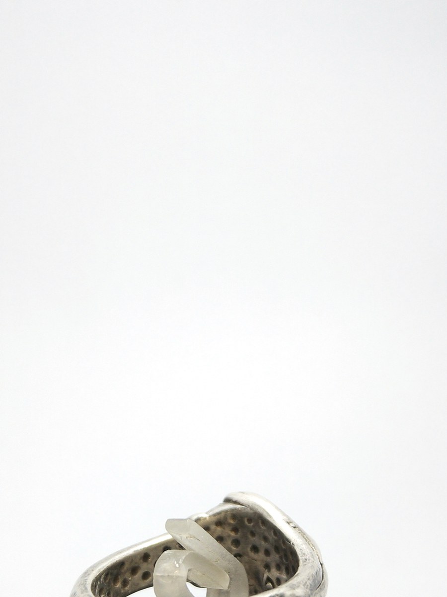Aluminum ring, size S 1/2, alien reptiloid — 360° view