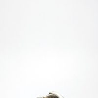 Aluminum ring, size S 1/2, alien reptiloid — 360° view